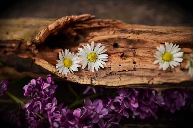 Natural Wood Accents