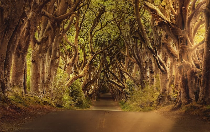 Glenveagh National Park